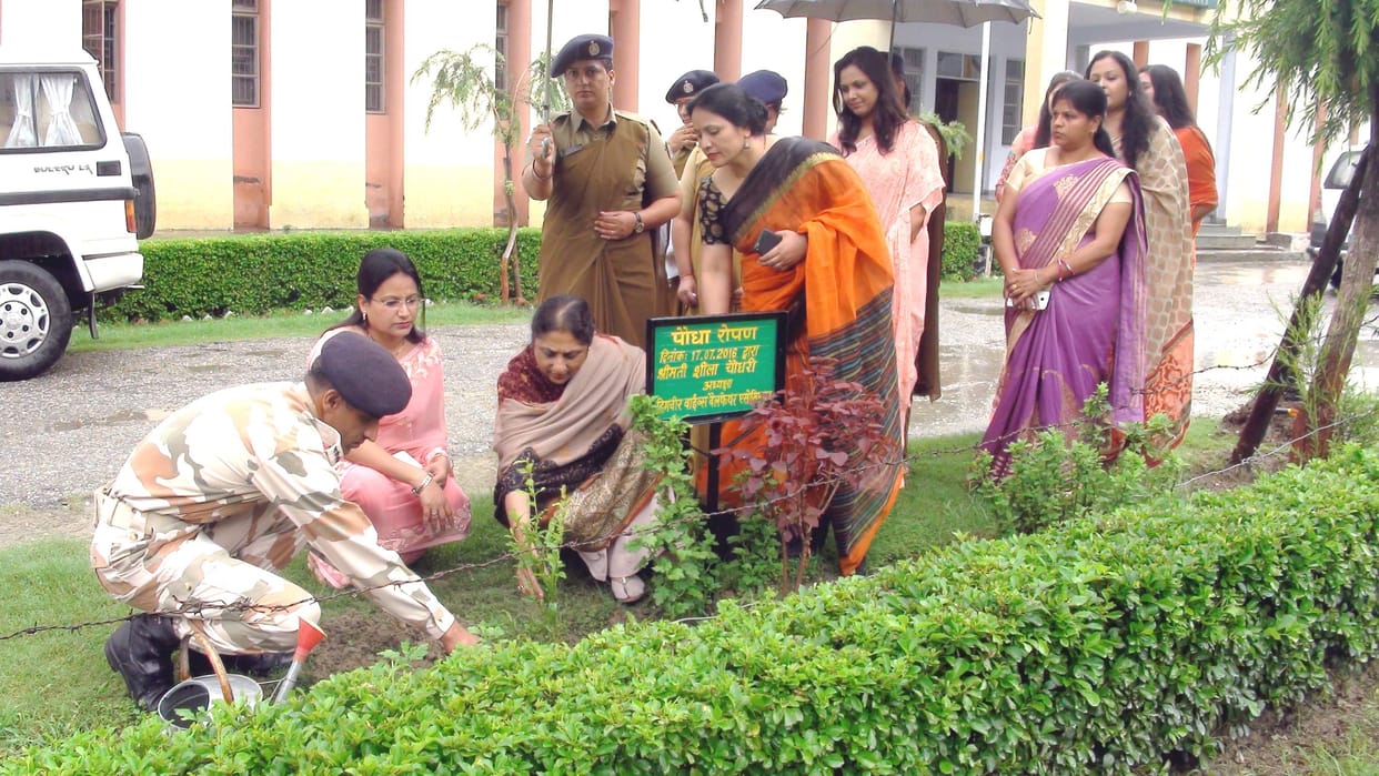 The emphasis on women's independence