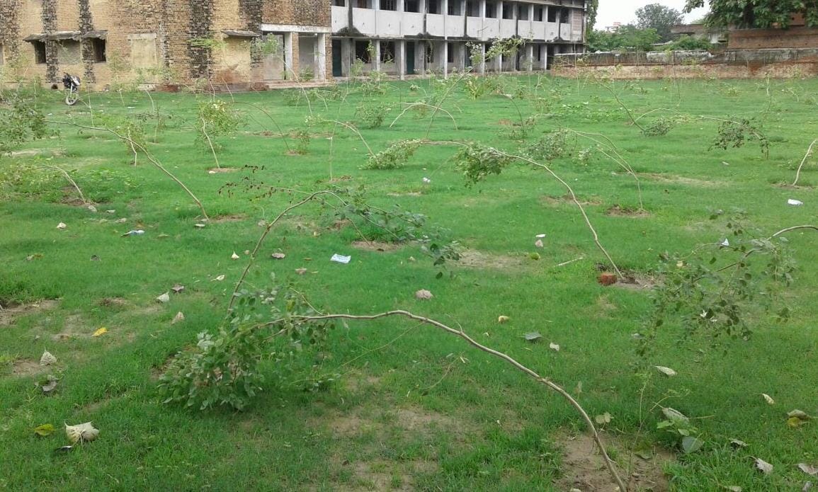 Where more than half of the plant began operations fell