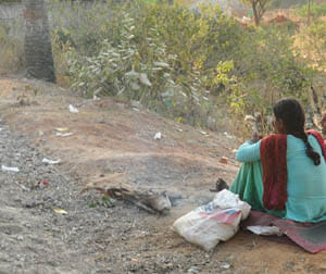 deshi sarab