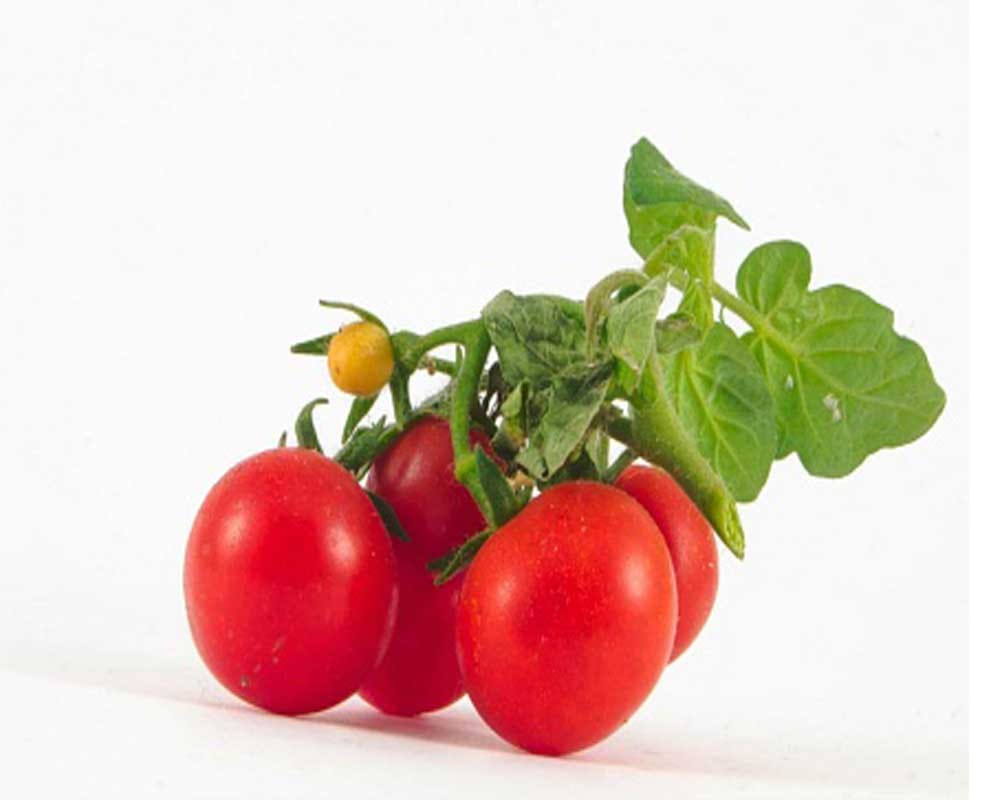 Everyday foods which slowly kills you