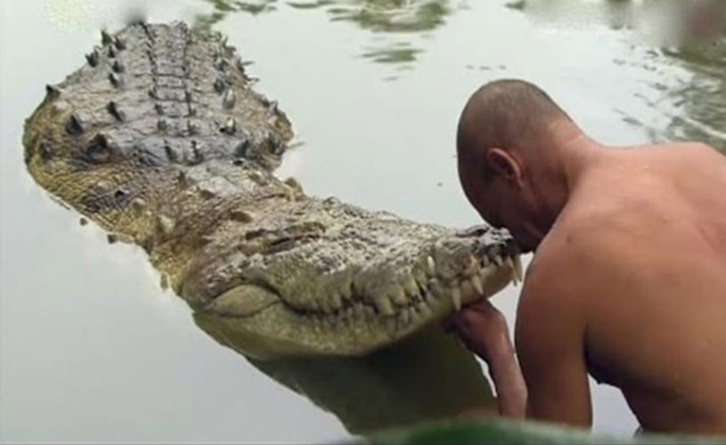 The Vegetarian Crocodile Who Guards a Temple in Kerala
