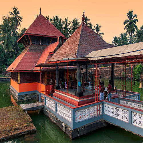 The Vegetarian Crocodile Who Guards a Temple in Kerala