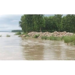 yamunanagar, yamuna river, full water
