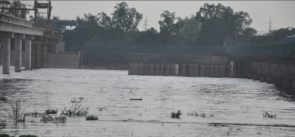 yamunanagar, yamuna river,village flood,sandhaala