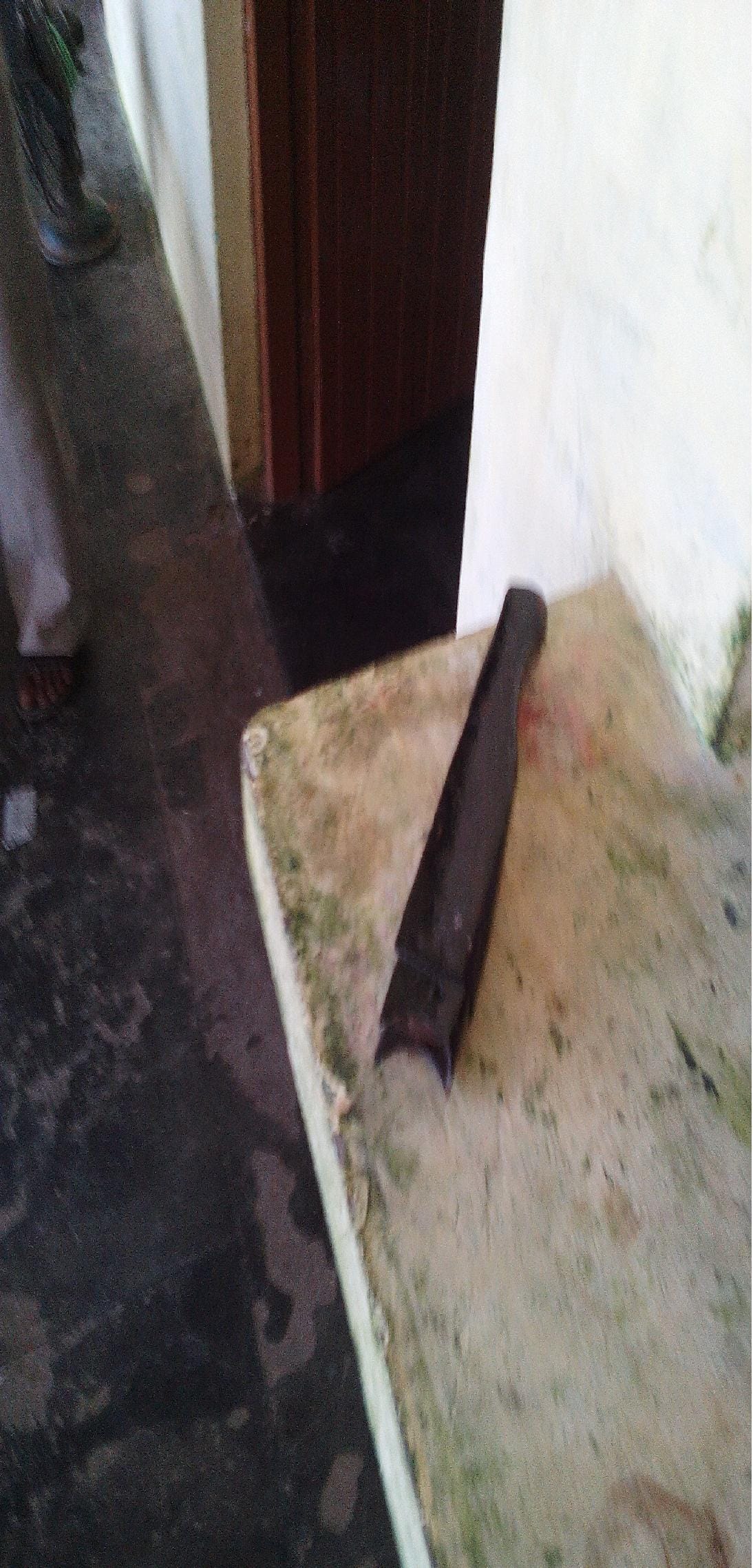 Family hostage Five lakh looted goods