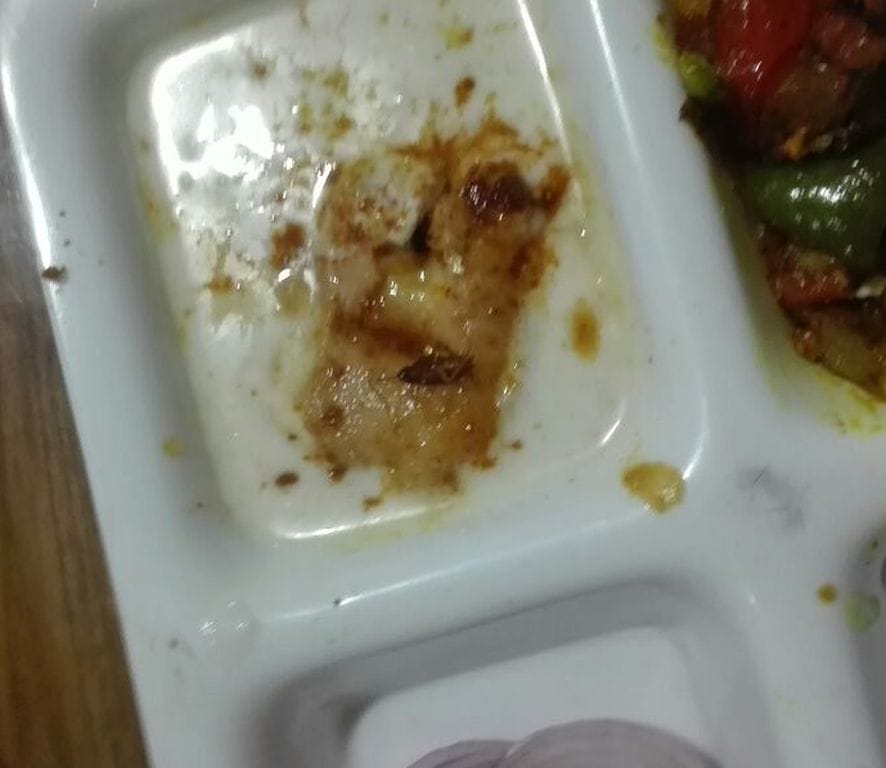  Cockroaches found in Dhibre