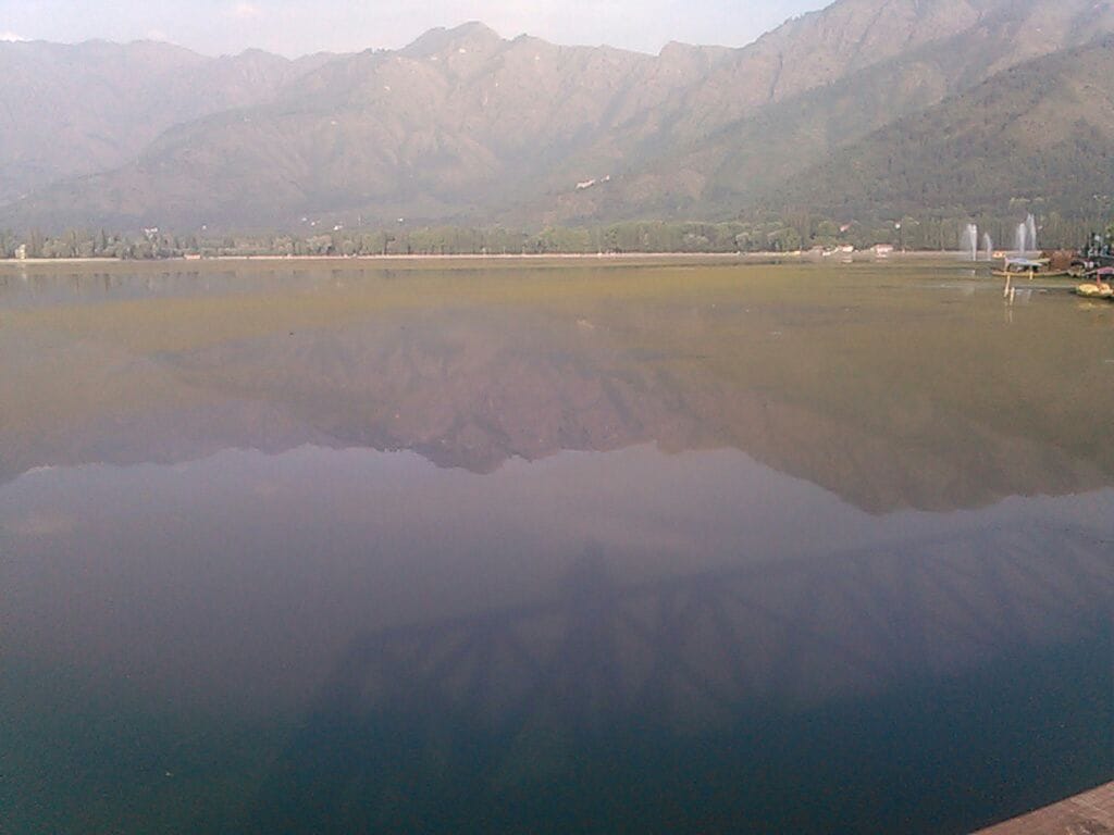 Tourist in Kashmir are not going