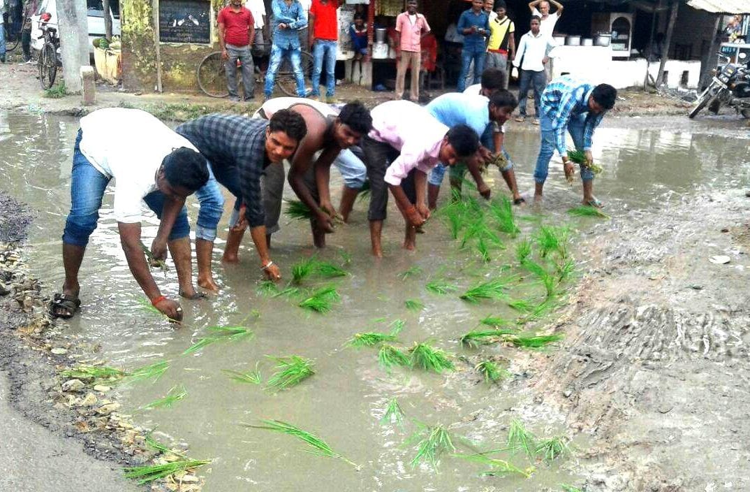 Enraged people outdoors paddy planted by Jnsmsya