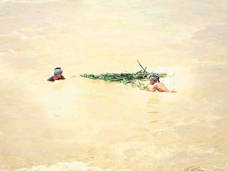 flood of kosi