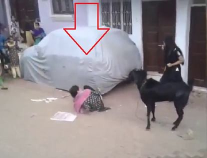 Viral Video : Goat attacked on girl