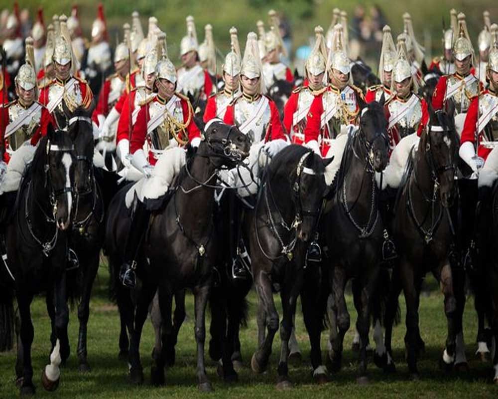 Ohh! That's why Horses are compared to Man