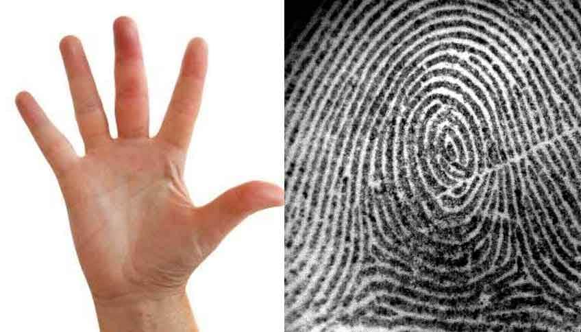 These 4 auspicious marks are also on your palm so you are very lucky