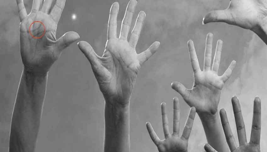 palmistry hast rekha fingers indicate person nature and future