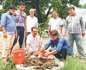 programmr in raniganj area