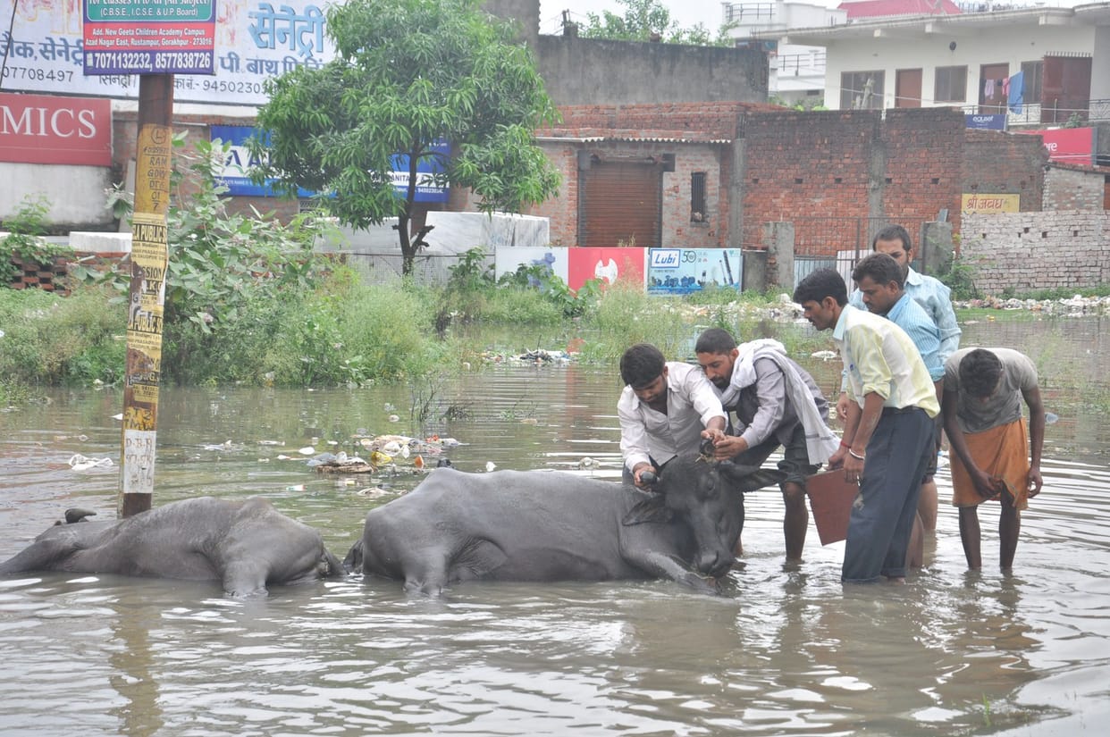 electricty cut in half city and waterlogging in whole areas