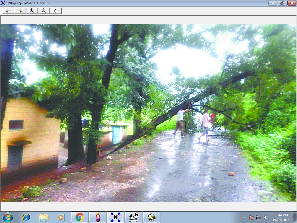 Rajgir bodies found hanging from tree