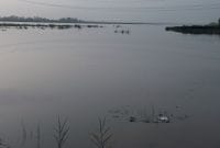 yamun water level increase,  water level increase in sonipat