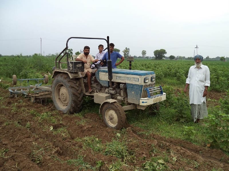  Havoc of white fly, Bt crops havoc, two farmers cultivated crop, Sangrur