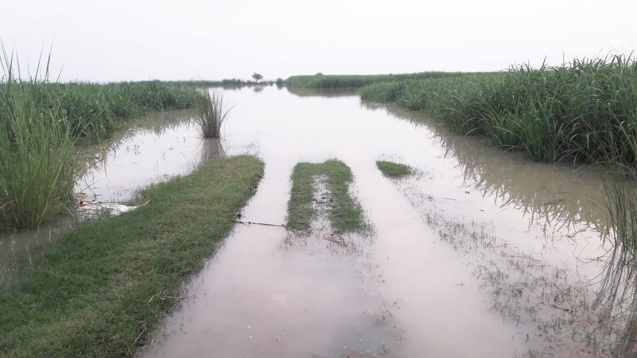 Most of the season in the Ganges 2.04 lakh cusecs