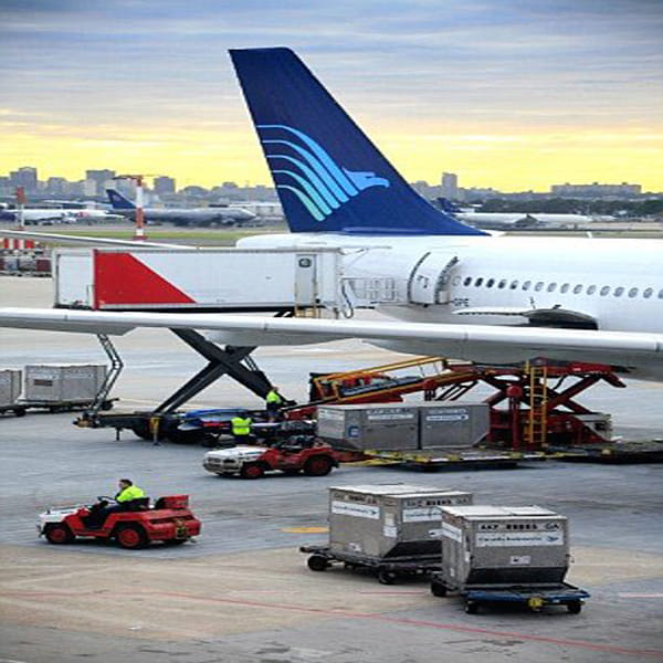 airport officials discovered passenger had hidden ten live pythons down trousers