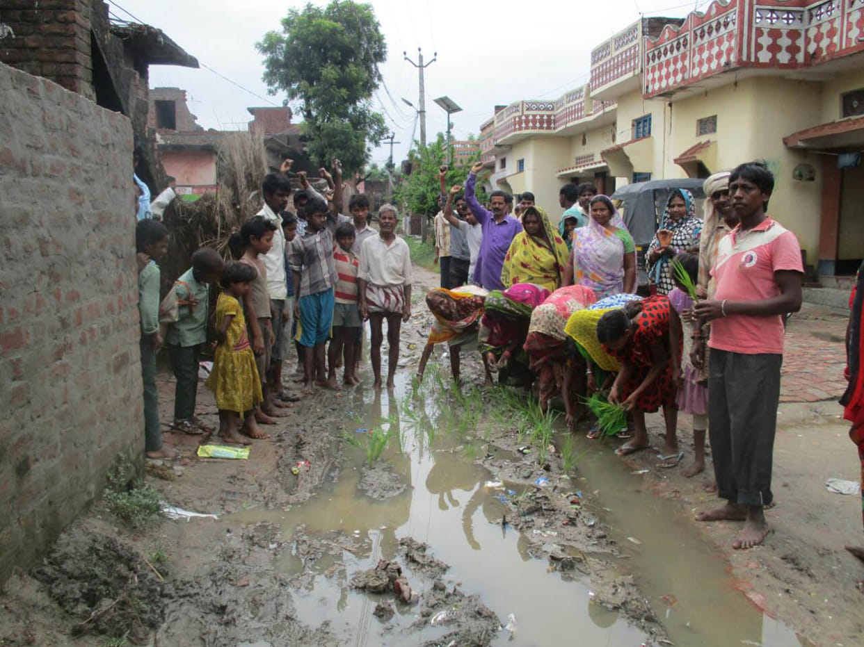 Broken rice plant- street protests