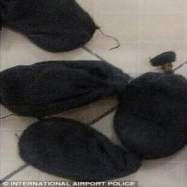 airport officials discovered passenger had hidden ten live pythons down trousers