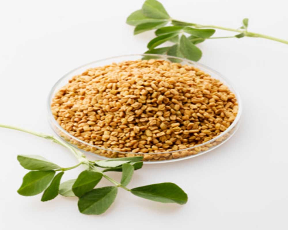 Home remedies for Viral Fever
