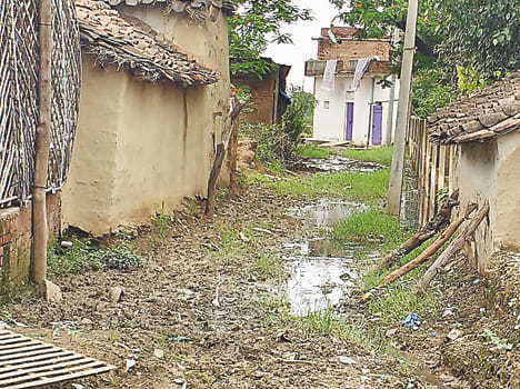 Paths full of rain water