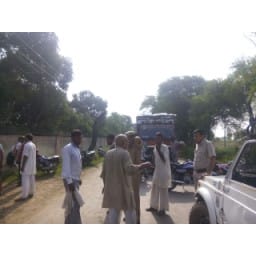 no electric, protest man, jind