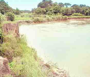 Farm and garden are delighted in the river 