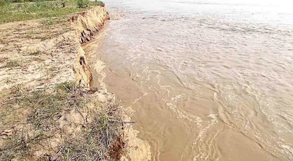 decreases the water of kosi river
