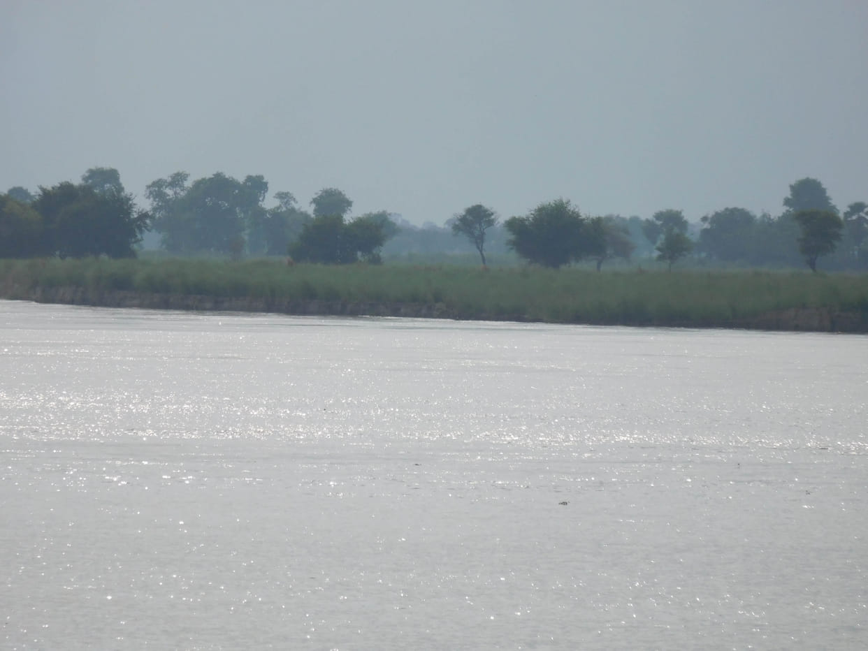 water level of ghaghara increased