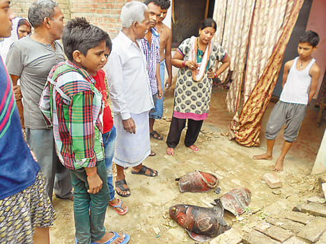 Leakage in the cylinder blast, left the family