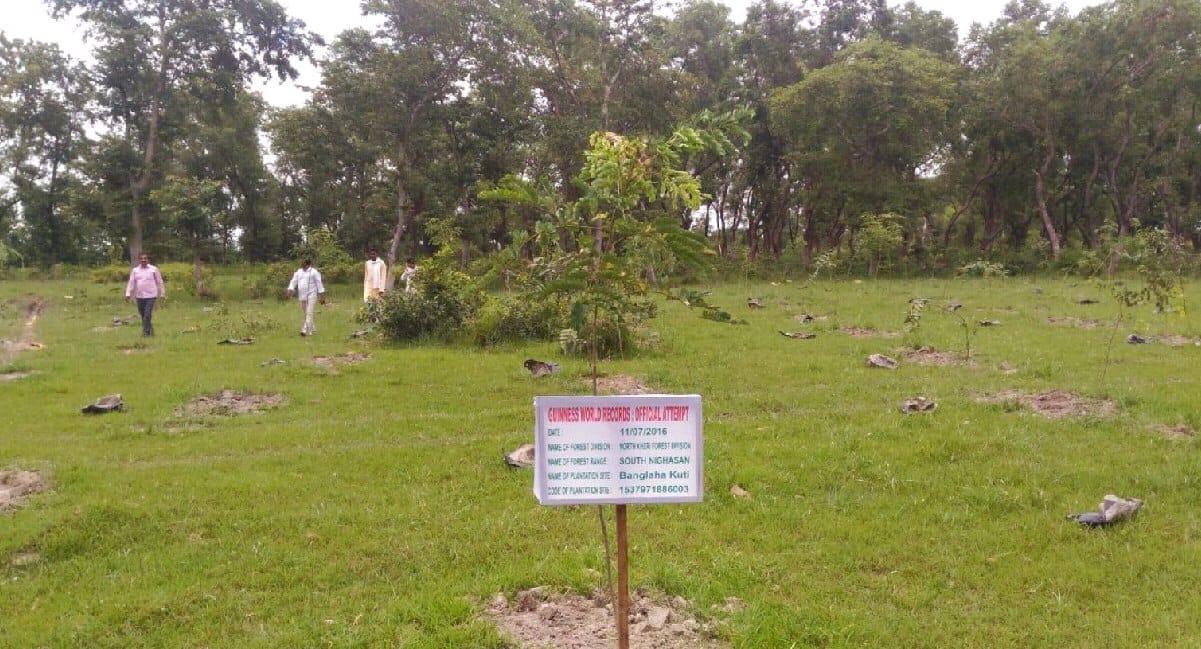 Green belts are occupied building
