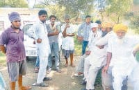 murder, karnal murder, youth, love, karnal