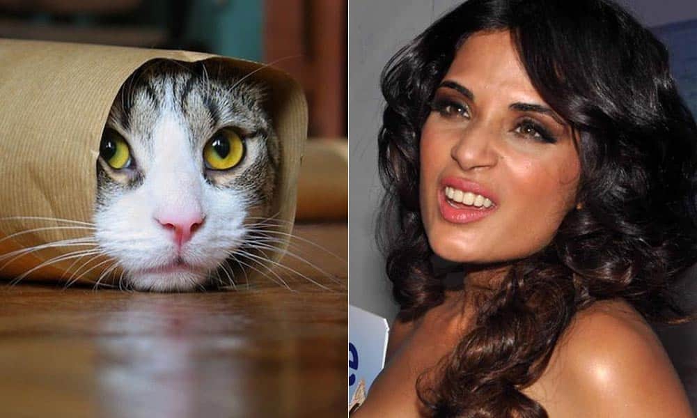 Richa chaddha faces trouble for her pet