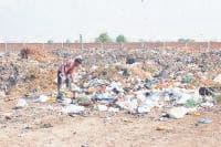 swakshta abhiyan, solid best management, dely work, kaithal