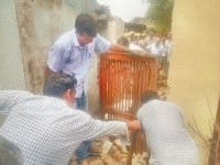 yamunanagar, gate, police, village