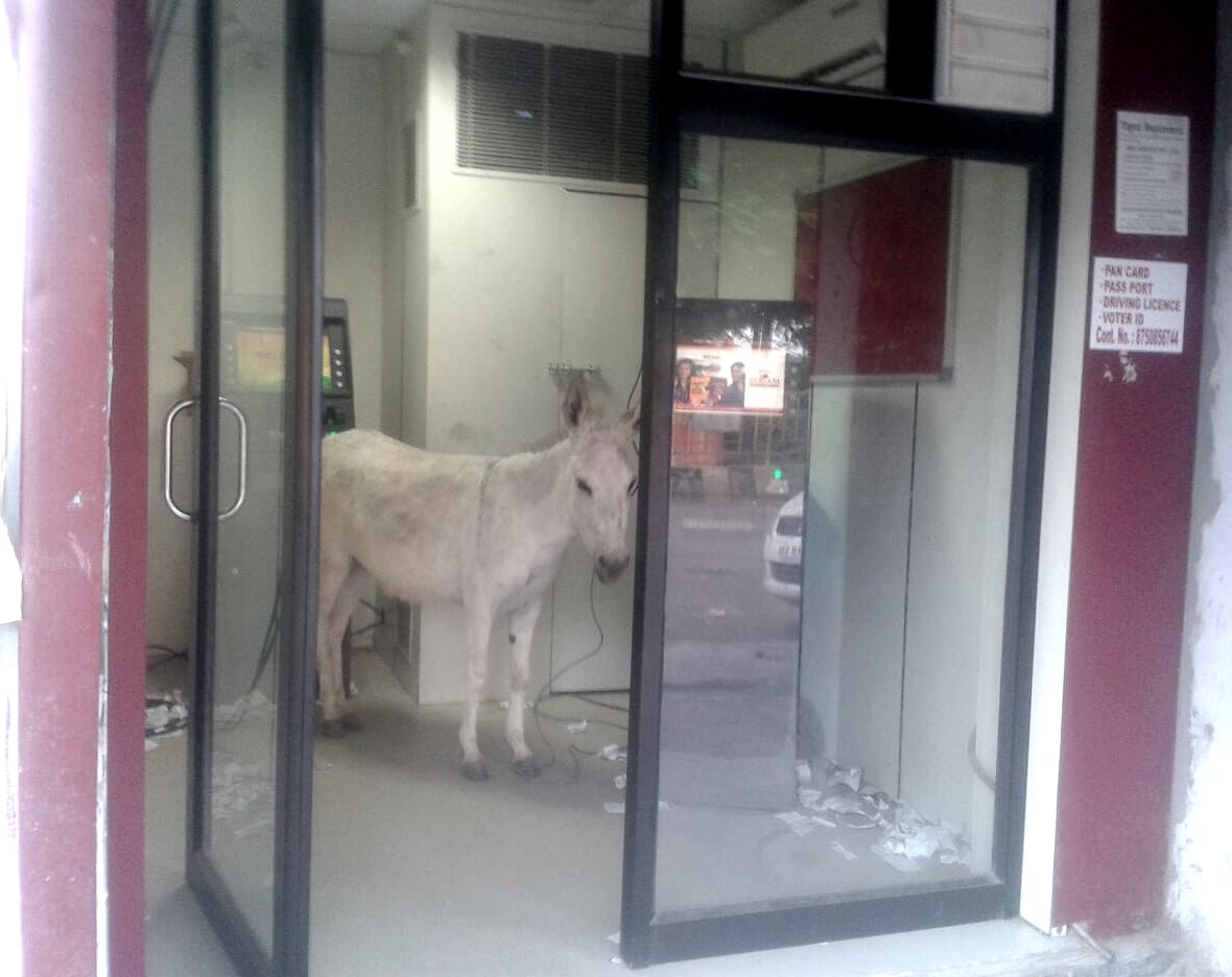 ATM booth entered ass, bush Dultti