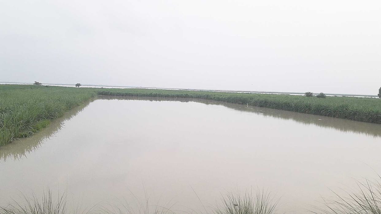 Cusecs of water level gauge measuring the edge of the river Fell