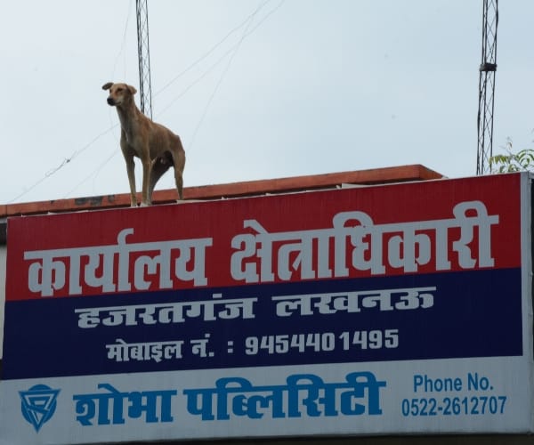 an interesting pic of hazratganj police station lucknow.