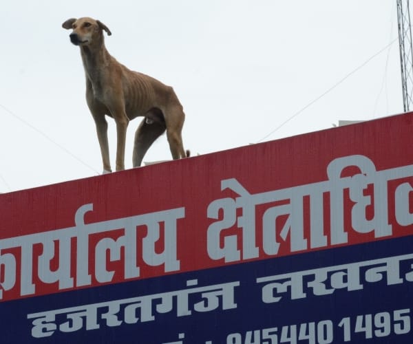 an interesting pic of hazratganj police station lucknow.