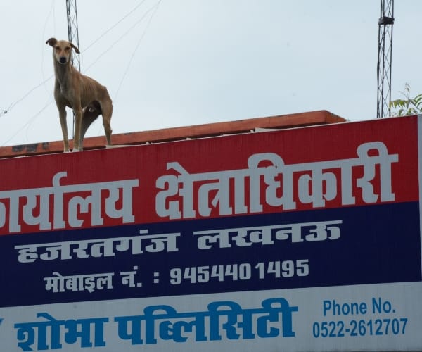 an interesting pic of hazratganj police station lucknow.