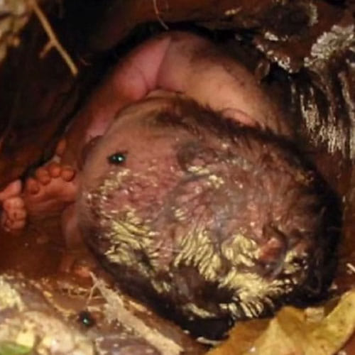 after 24 hours infant save from muddy tunnel