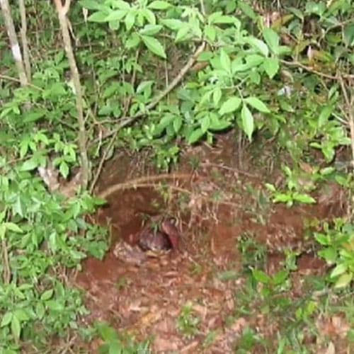 after 24 hours infant save from muddy tunnel