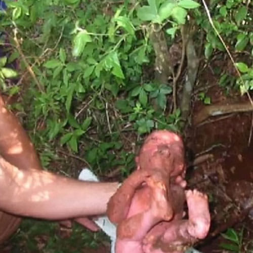after 24 hours infant save from muddy tunnel