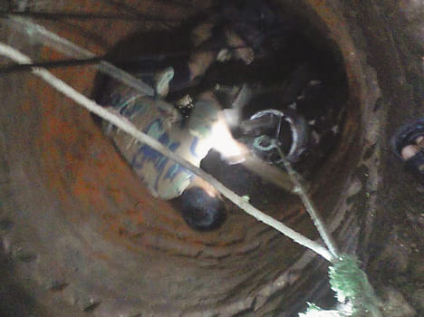 Cadets pulled by a cow fell into the well