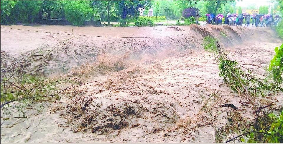 Fenugreek Shah ten-year record broken in the valley, water