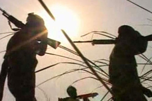 Naxals cartridge supply  case