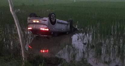 dog terror, car fliped in farm due to dog, six injured in car collapse, sirsa, haryana